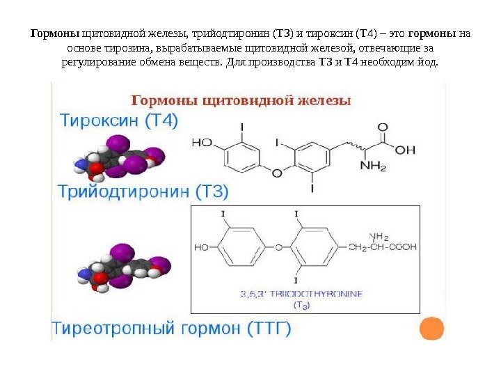 Гормоны щитовидной железы, трийодтиронин (Т 3) и тироксин (Т 4) – это гормоны на