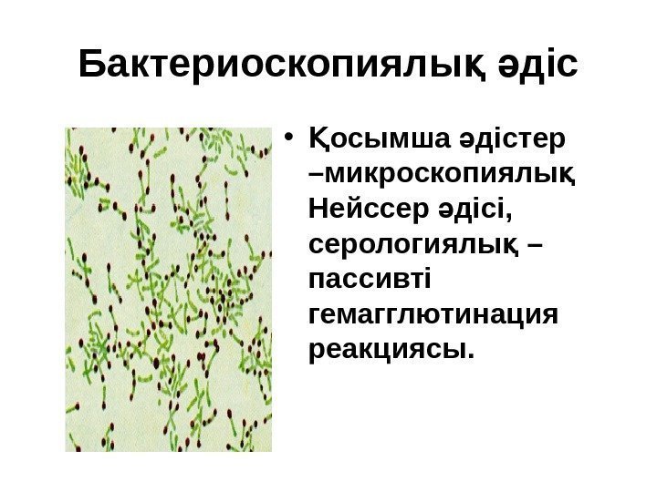 Бактериоскопиялы  дісқ ә • осымша дістер Қ ә –микроскопиялы  қ Нейссер дісі,