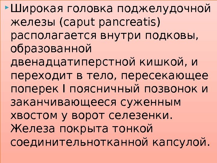  Широкая головка поджелудочной железы (caput pancreatis) располагается внутри подковы,  образованной двенадцатиперстной кишкой,