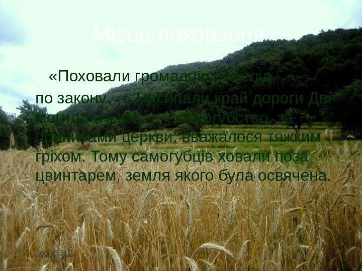   «Поховали громадою. Як слід,  по закону…» Насипали край дороги Дві могили