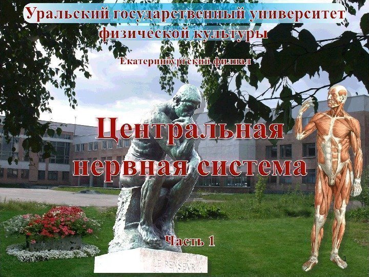 1 Ур. ГУФК  