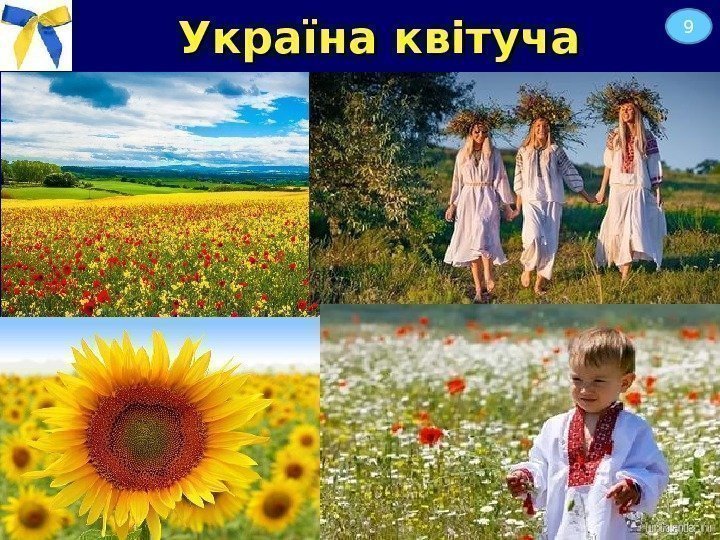 Україна квітуча 9 