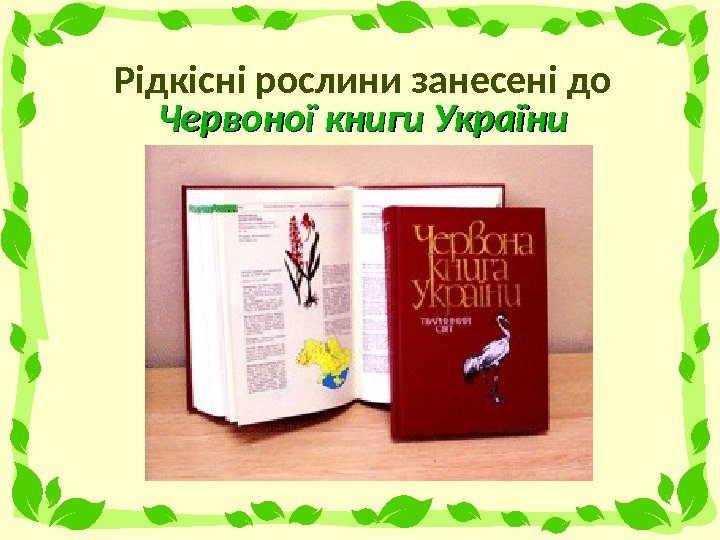 Рідкісні рослини занесені до Червоної книги України 