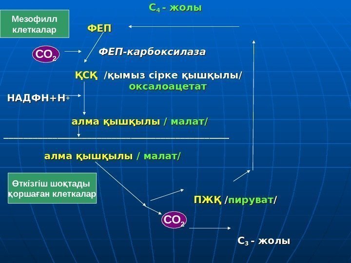 CC 44  - жолы     ФЕПФЕП    