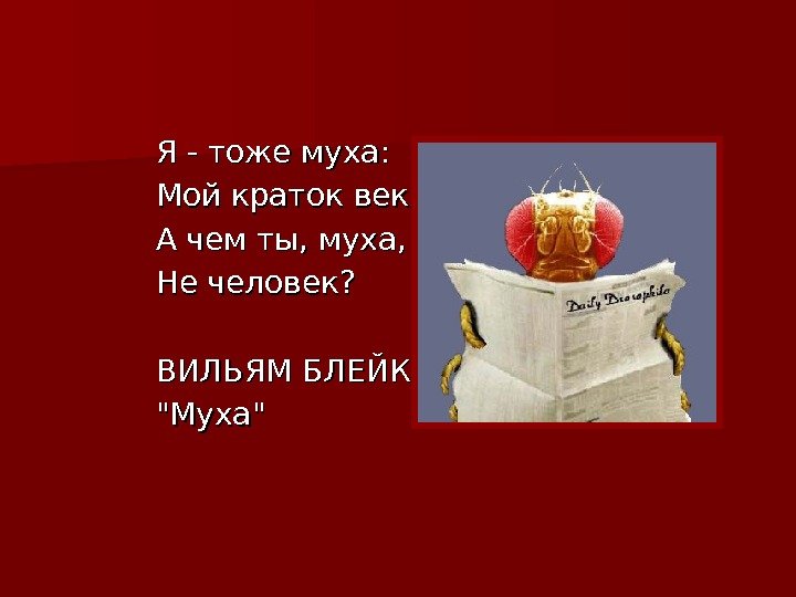 Я - тоже муха: Мой краток век.  А чем ты, муха, Не человек?