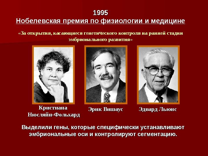 1995 Нобелевская премия по физиологии и медицине «За открытия, касающиеся генетического контроля на ранней