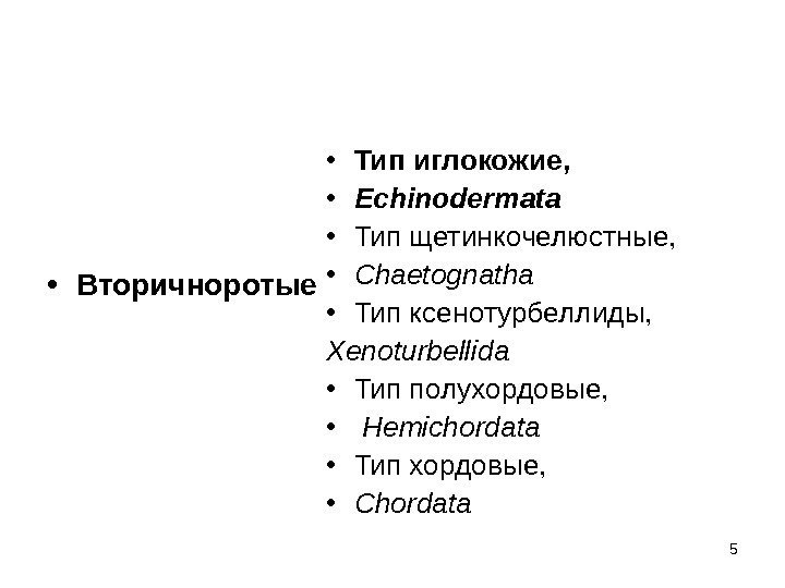 5 • Вторичноротые • Типиглокожие,  • Echinodermata • Тип щетинкочелюстные,  • Chaetognatha