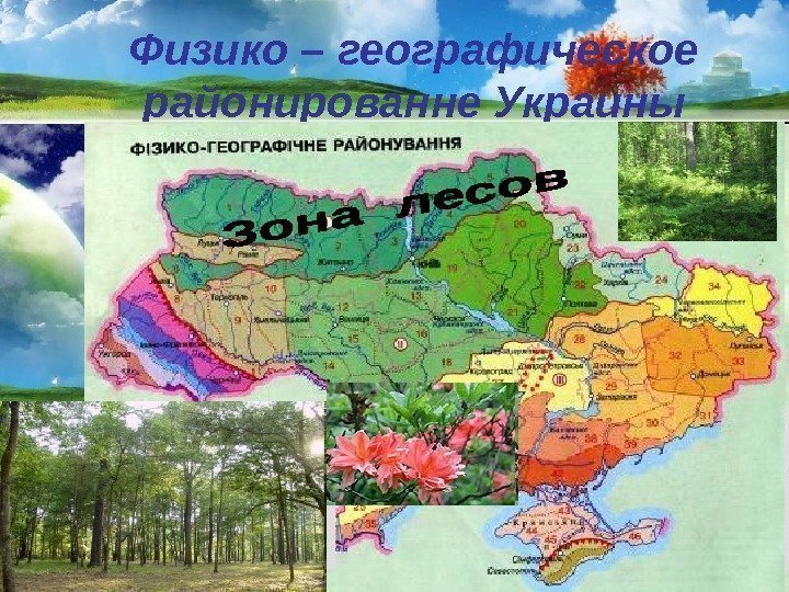 Физико – географическое  районированне Украины 