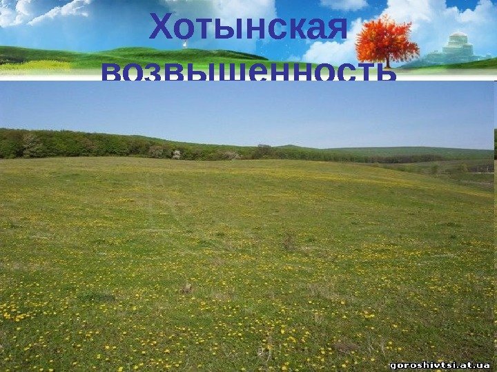 Хотынская возвышенность У гора Берда (515 м). 