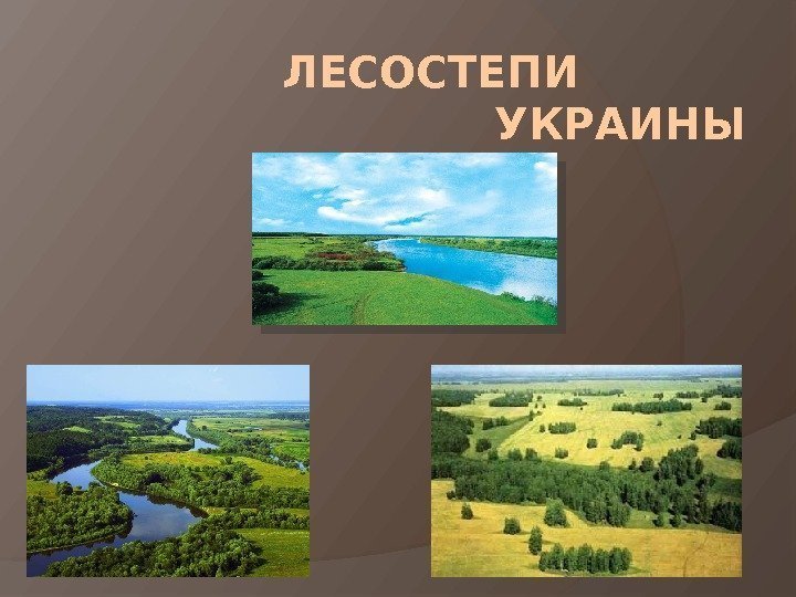 ЛЕСОСТЕПИ   УКРАИНЫ  