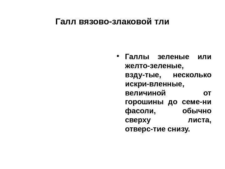 Галл вязово-злаковой тли • Галлы зеленые или желто-зеленые,  взду-тые,  несколько искри-вленные, 