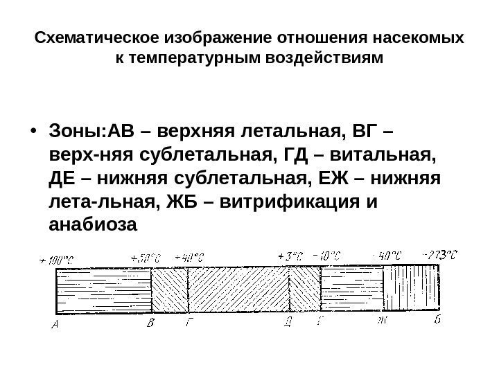 Схематическое изображение отношения насекомых к температурным воздействиям • Зоны: АВ – верхняя летальная, ВГ