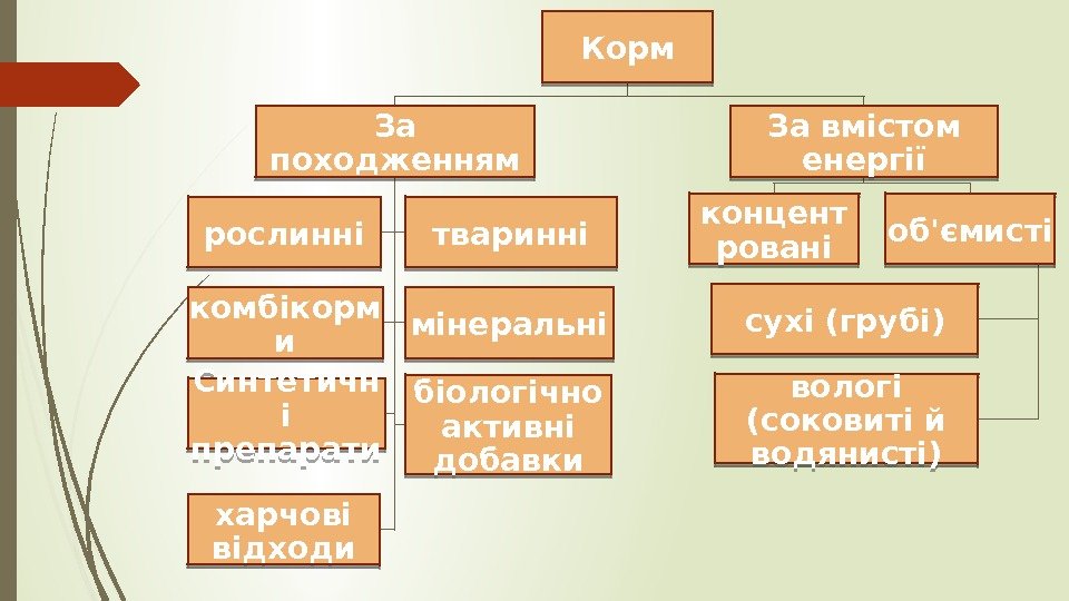 Корм За походженням рослинні тваринні комбікорм и мінеральні Синтетичн і препарати біологічно активні добавки