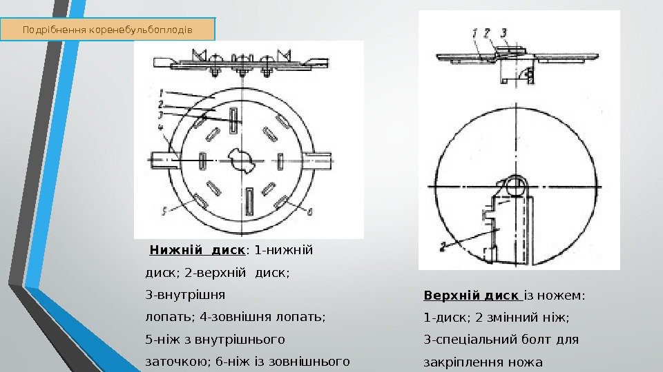 Подрібнення коренебульбоплодів  Нижній диск : 1 -нижній  диск; 2 -верхній диск; 