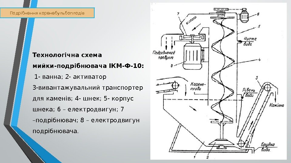 Подрібнення коренебульбоплодів Технологічна схема мийки-подрібнювача ІКМ-Ф-10:  1 - ванна; 2 - активатор 