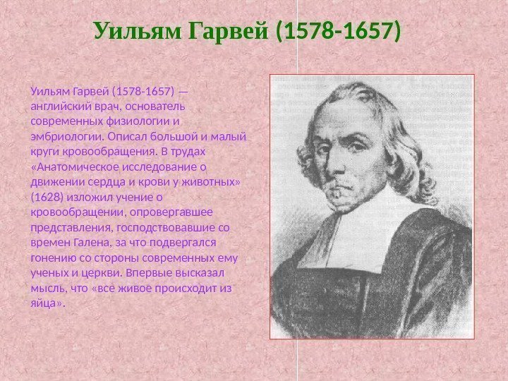 Уильям Гарвей (1578 -1657) — английский врач, основатель современных физиологии и эмбриологии. Описал большой