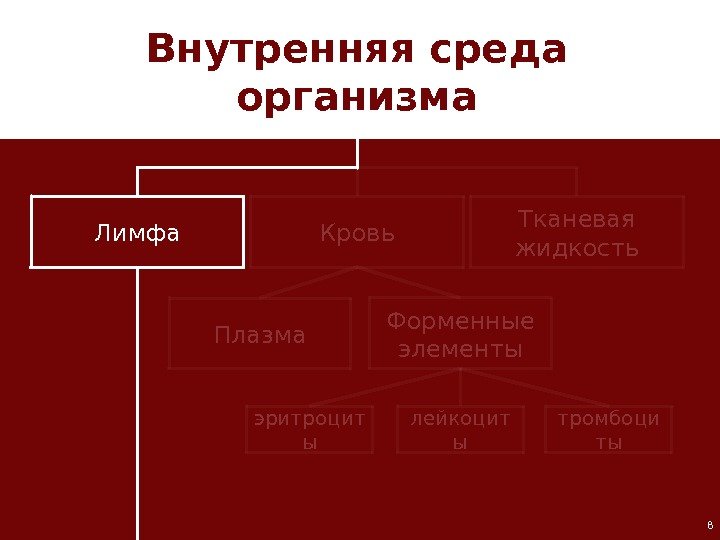 8 Лимфа Кровь Тканевая жидкость Плазма Форменные элементы лейкоцит ы тромбоци тыэритроцит ы. Внутренняя