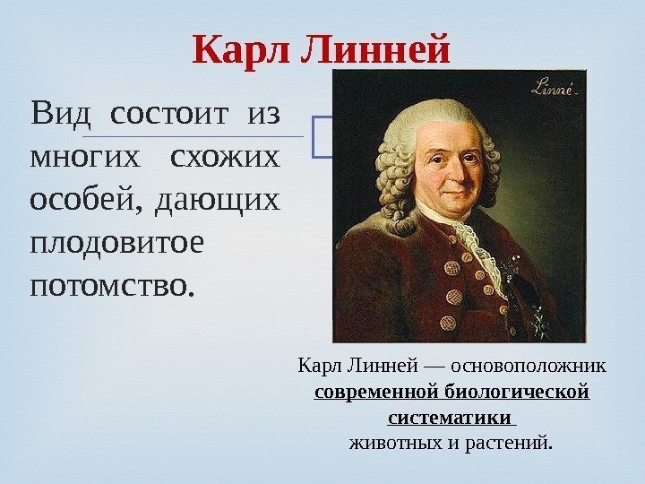 Вид состоит из многих схожих особей,  дающих плодовитое потомство. Карл Линней — основоположник