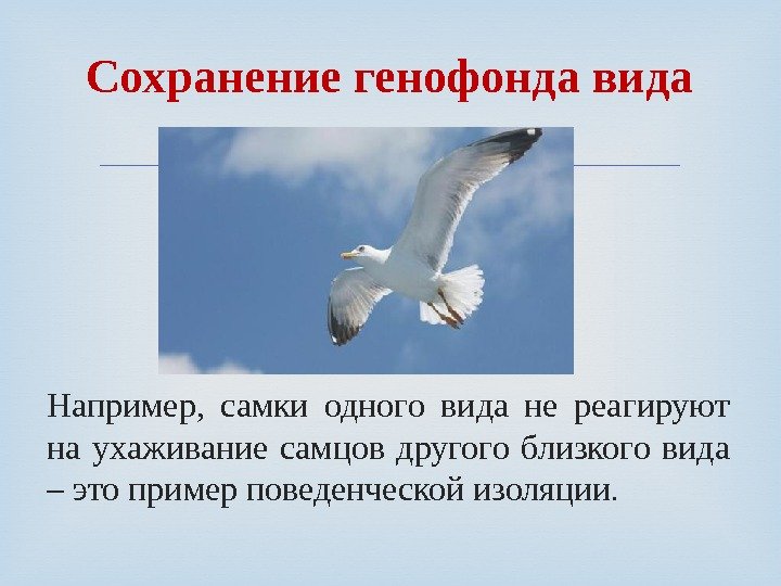  Например,  самки одного вида не реагируют на ухаживание самцов другого близкого вида