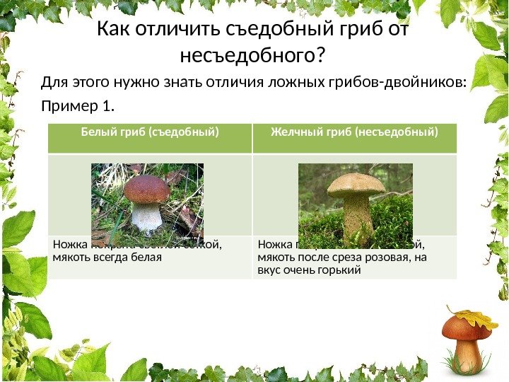 Как отличить съедобный гриб от несъедобного? Для этого нужно знать отличия ложных грибов-двойников: Пример