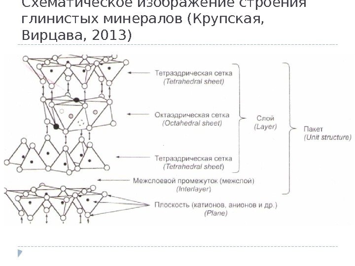 Схематическое изображение строения глинистых минералов (Крупская,  Вирцава, 2013) 