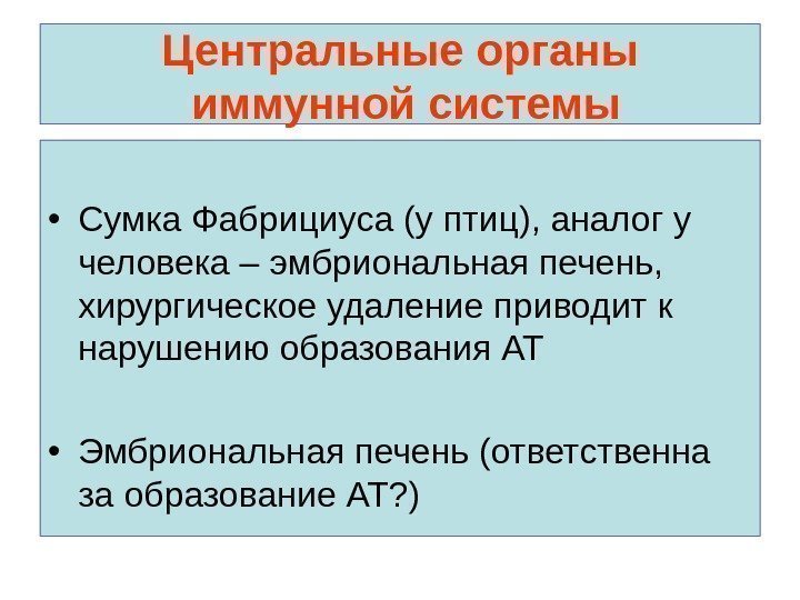 Центральные органы иммунной системы • Сумка Фабрициуса (у птиц), аналог у человека – эмбриональная