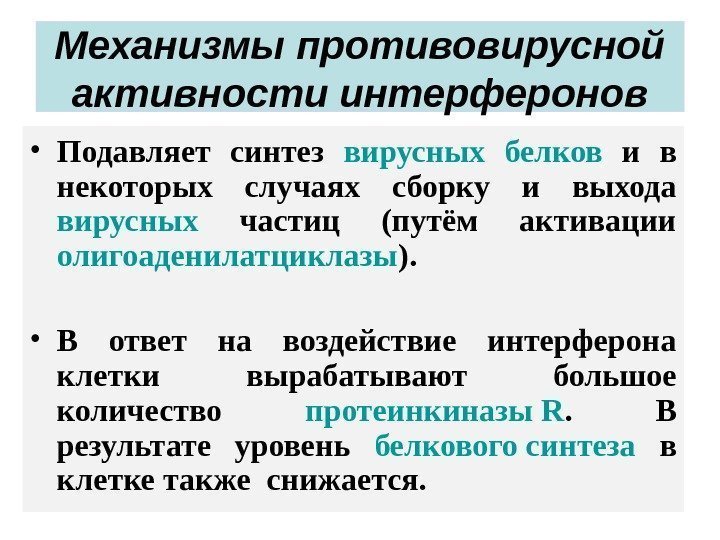 Механизмы противовирусной активности интерферонов • Подавляет синтез вирусных  белков  и в некоторых