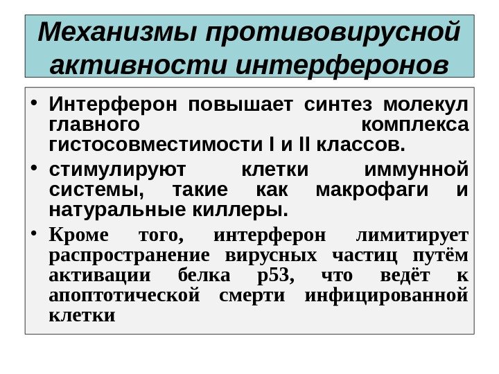 Механизмы противовирусной активности интерферонов • Интерферон повышает синтез молекул главного комплекса гистосовместимости I и