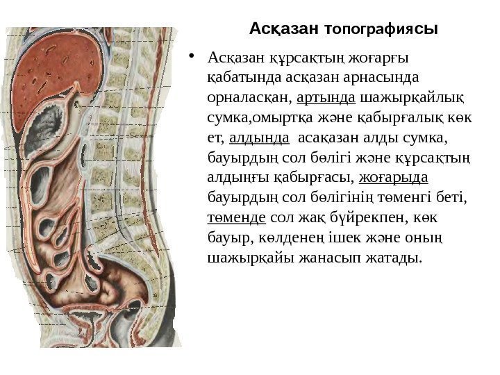 Ас азан тқ опография сы • Ас азан рса ты жо ар ы қ