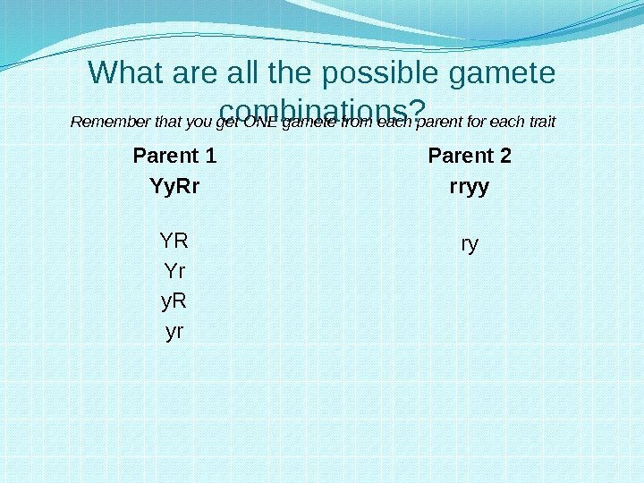 What are all the possible gamete combinations? Parent 1 Yy. Rr YR Yr y.