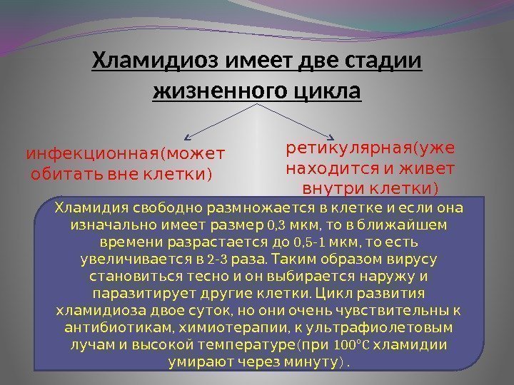 Хламидиоз имеет две стадии жизненного цикла ( инфекционная может ) обитать вне клетки (