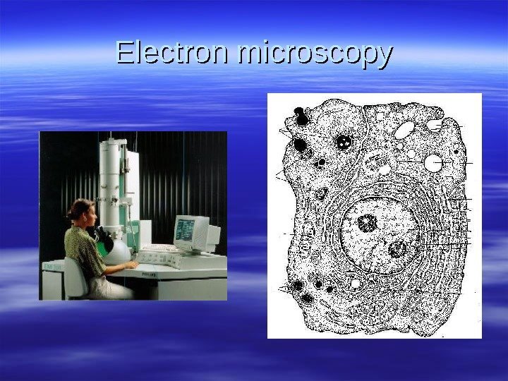Electron microscopy 