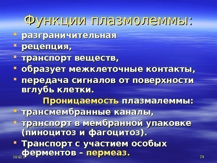 20. 02. 17 29 Функции плазмолеммы : :  разграничительная рецепция,  транспорт веществ,