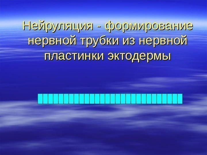 Нейруляция - формирование нервной трубки из нервной пластинки эктодермы 