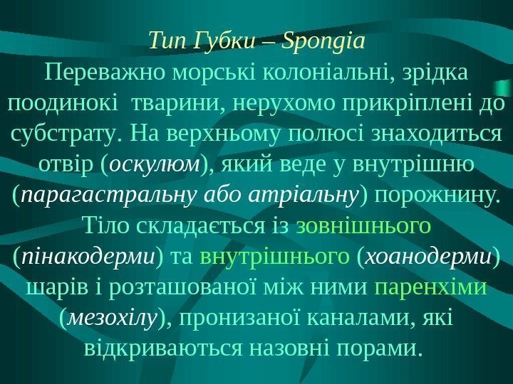 Тип Губки – Spongia Переважно морські колоніальні, зрідка поодинокі тварини, нерухомо прикріплені до субстрату.