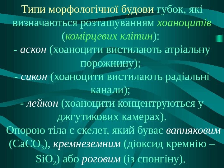 Типи морфологічної будови губок, які визначаються розташуванням хоаноцитів  ( комірцевих клітин ): 