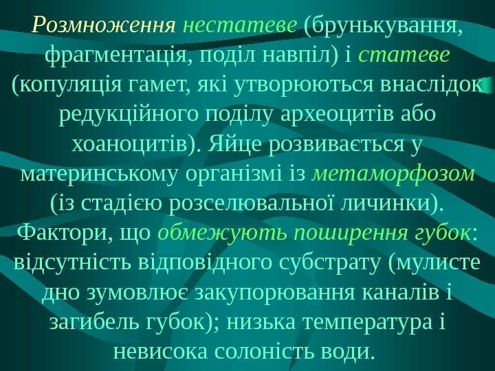 Розмноження  нестатеве (брунькування,  фрагментація, поділ навпіл) і статеве (копуляція гамет, які утворюються