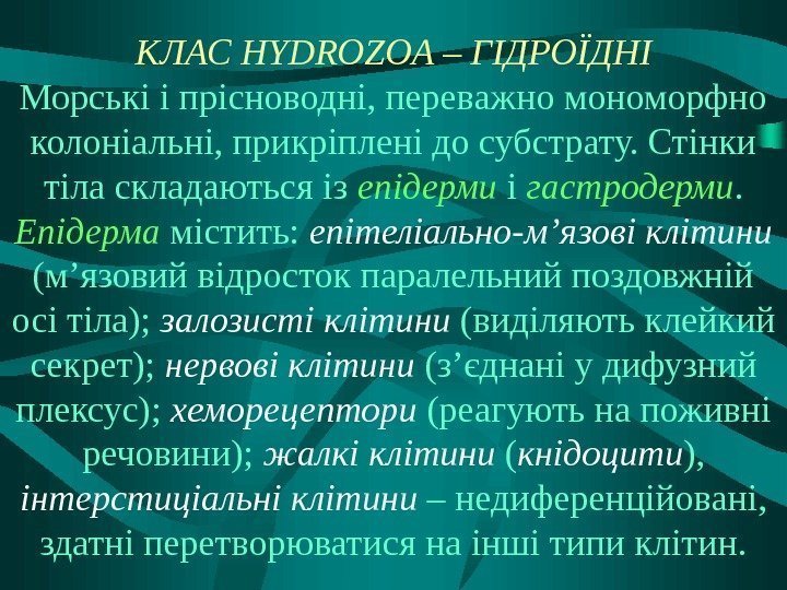 КЛАС HYDROZOA – ГІДРО ЇД НІ Морські і прісноводні, переважно мономорфно колоніальні, прикріплені до