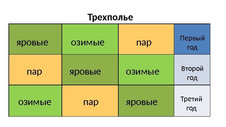 Трехполье яровыеозимые пар пар Первый год Второй год Третий год 