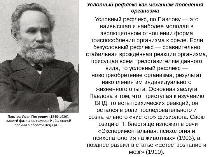   Павлов Иван Петрович (1849 -1936),  русский физиолог, лауреат Нобелевской премии в