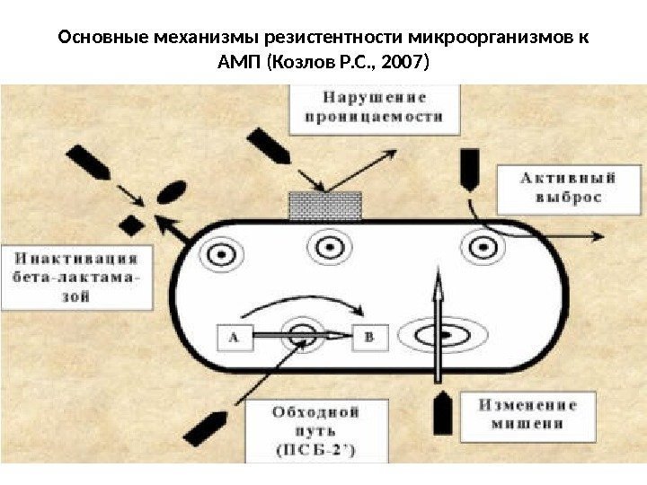 Основные механизмы резистентности микроорганизмов к АМП (Козлов Р. С. , 2007) 