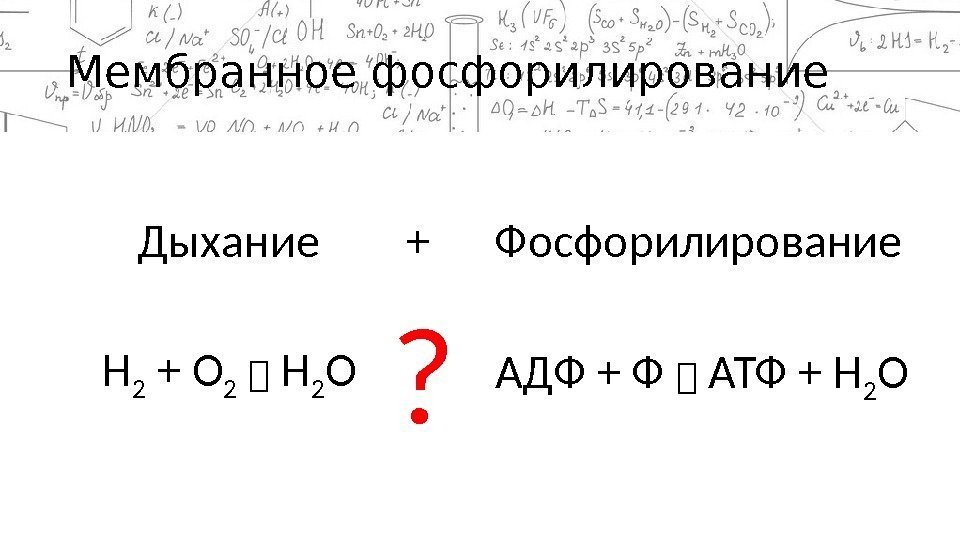 Мембранное фосфорилирование Дыхание  + Фосфорилирование Н 2 + О 2 Н 2 О