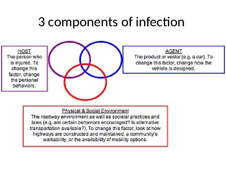 3 components of infection 