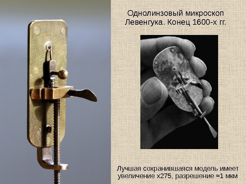   Однолинзовый микроскоп Левенгука. Конец 1600 -х гг. Лучшая сохранившаяся модель имеет увеличение