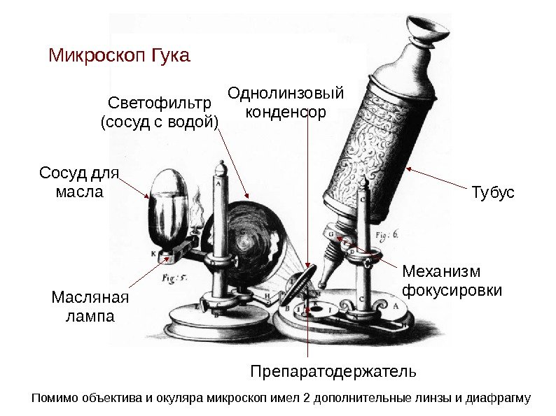   Микроскоп Гука Масляная лампа. Сосуд для масла Светофильтр (сосуд с водой) Однолинзовый