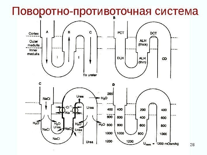 Поворотно-противоточная система 28 