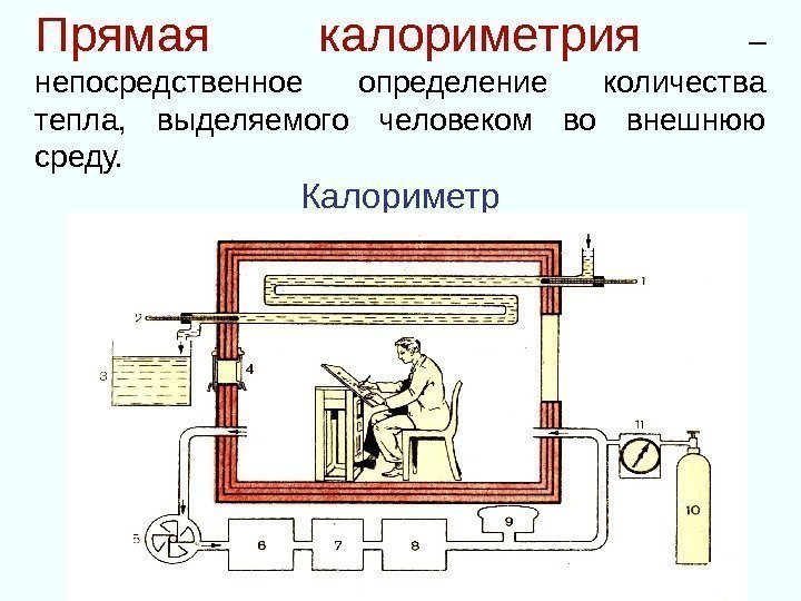 Прямая калориметрия – непосредственное определение количества тепла,  выделяемого человеком во внешнюю среду. Калориметр