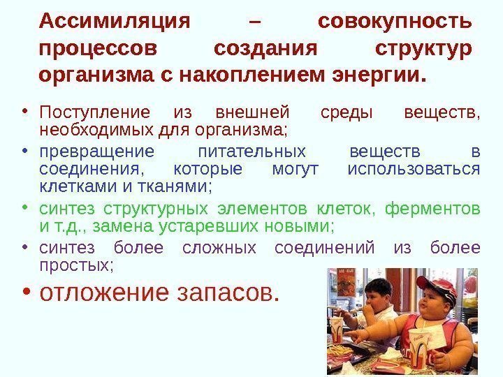 Ассимиляция – совокупность процессов создания структур организма с накоплением энергии.  • Поступление из