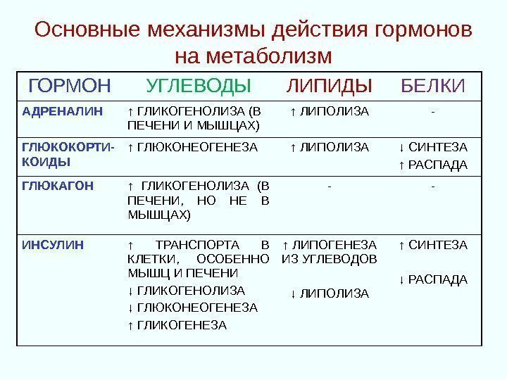 Основные механизмы действия гормонов на метаболизм ГОРМОН УГЛЕВОДЫ ЛИПИДЫ БЕЛКИ АДРЕНАЛИН ↑ ГЛИКОГЕНОЛИЗА (В