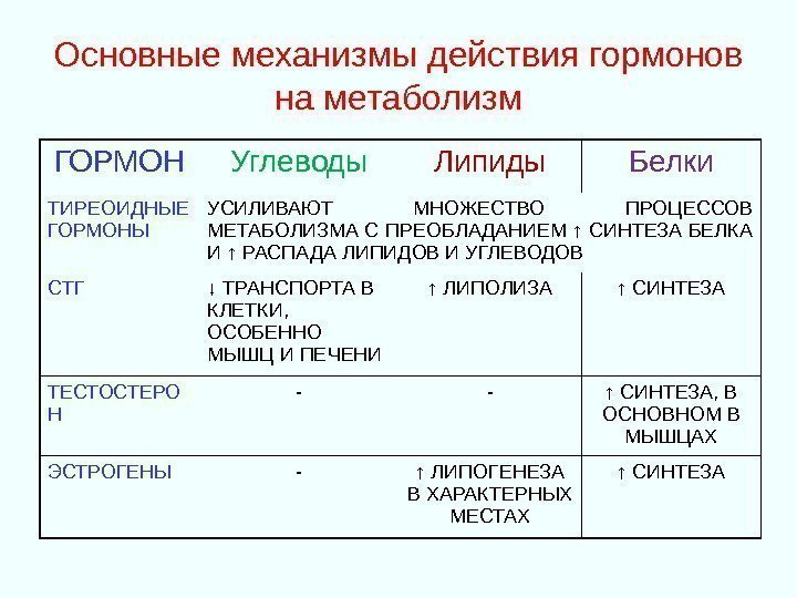 Основные механизмы действия гормонов на метаболизм ГОРМОН Углеводы Липиды Белки ТИРЕОИДНЫЕ ГОРМОНЫ УСИЛИВАЮТ МНОЖЕСТВО